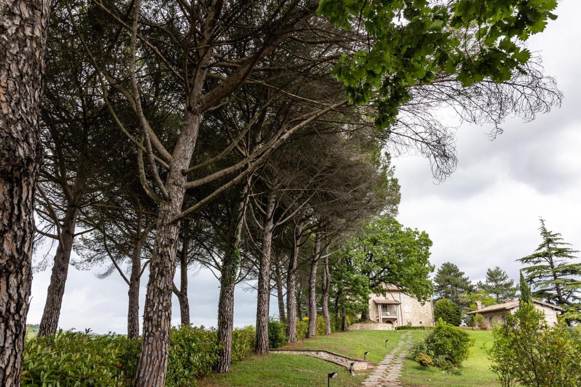 גוביו Tenuta Borgo San Michele מראה חיצוני תמונה